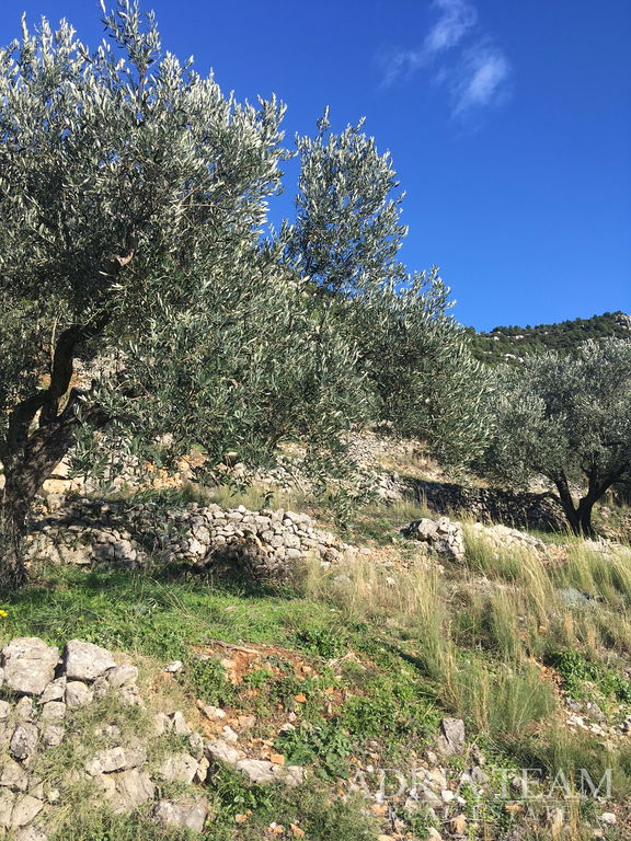 POZEMEK PRAVIDELNÉHO TVARU, 850 m OD MOŘE, BABINO POLJE - MLJET