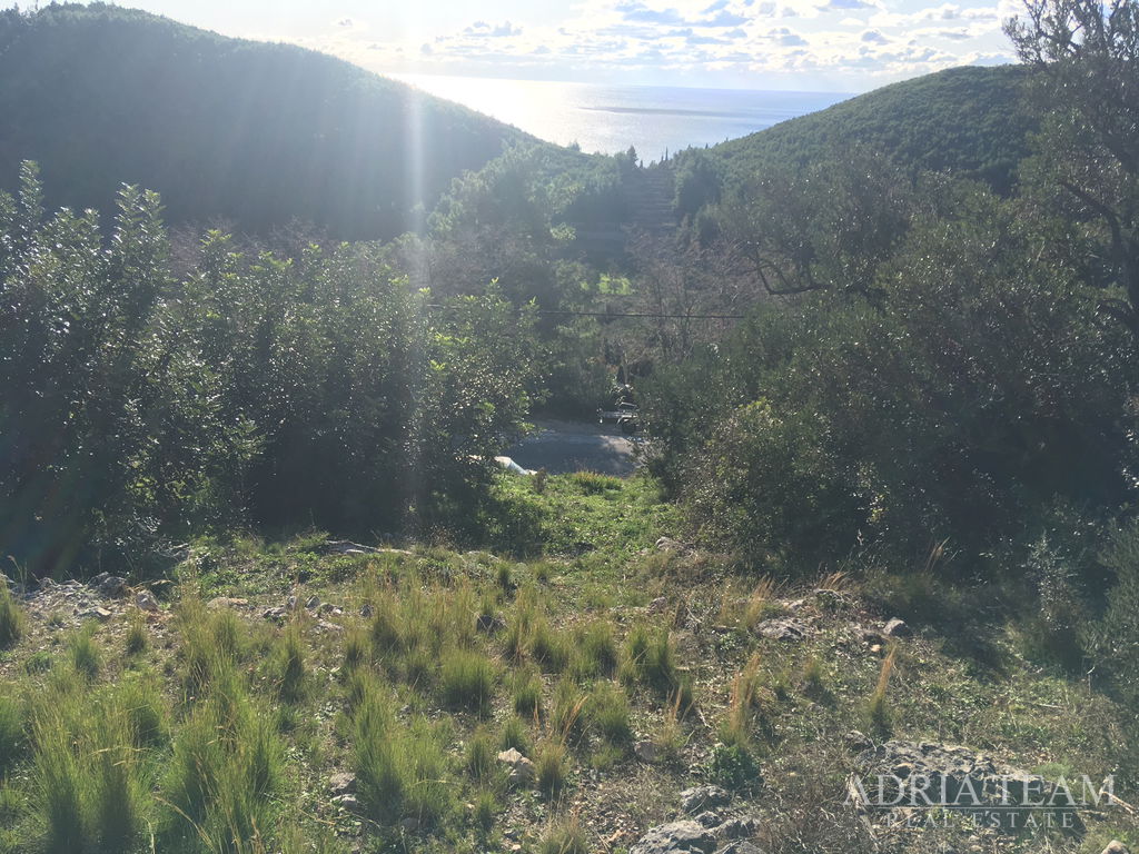 POZEMEK PRAVIDELNÉHO TVARU, 850 m OD MOŘE, BABINO POLJE - MLJET