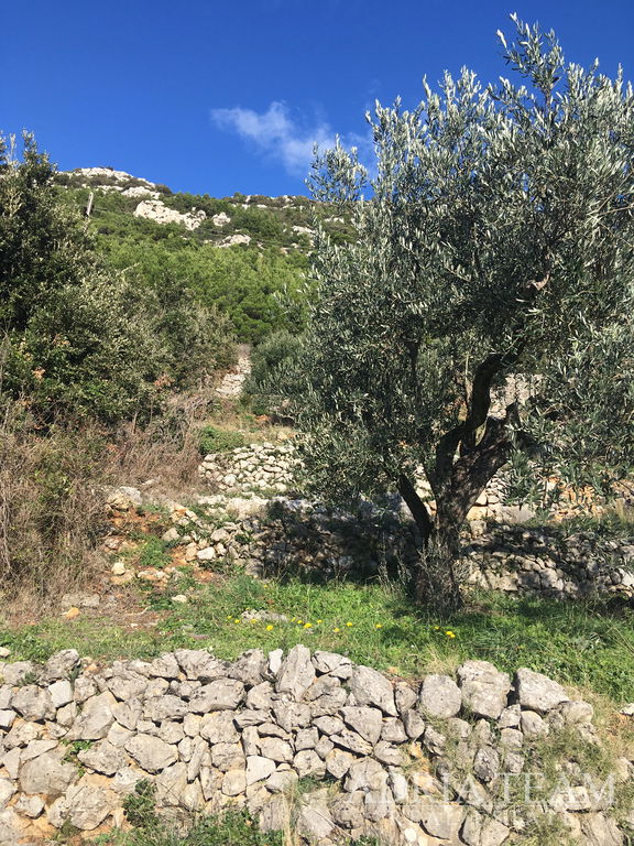 POZEMEK PRAVIDELNÉHO TVARU, 850 m OD MOŘE, BABINO POLJE - MLJET