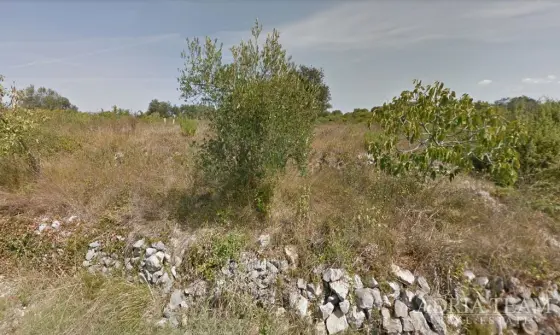 ZEMĚDĚLSKÝ POZEMEK – PETRČANE, ZADAR nemovitost na prodej