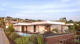 VILA S BAZÉNEM A VÝHLEDEM NA MOŘE - STARA NOVALJA nemovitost na prodej