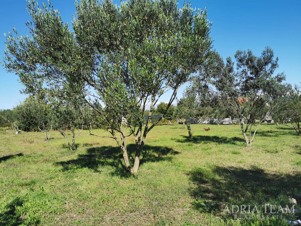 STAVEBNÍ POZEMEK, PRAVIDELNÉHO TVARU, 250m OD MOŘE, PAŠMAN - DOBROPOLJANA