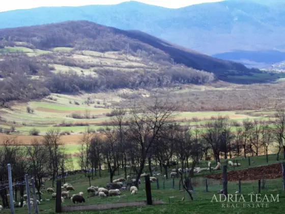 ZEMĚDĚLSKÁ PŮDA, KLIDNÁ A TICHÁ LOKALITA V SRDCI PŘÍRODY - SVICA, OTOČAC nemovitost na prodej