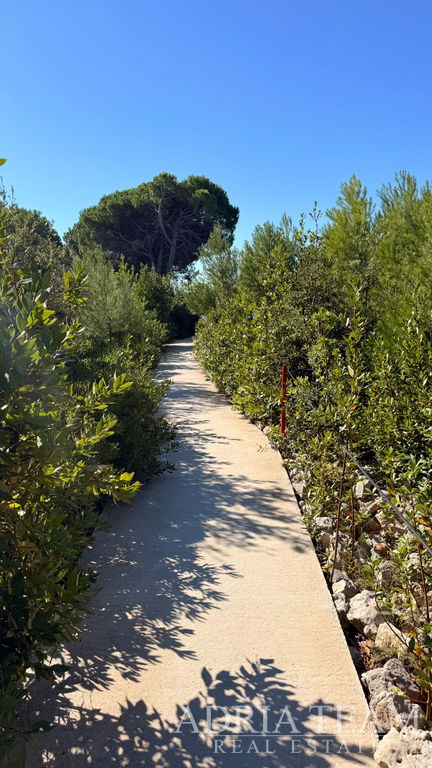 PENTHOUSE  – STŘEŠNÍ TERASA – NOVOSTAVBA – PRIVLAKA