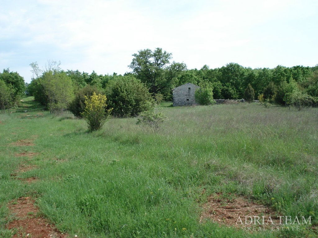 ZEMĚDĚLSKÝ POZEMEK VHODNÝ PRO TURISTIKU – OKOLÍ ROVINJE (KANFANAR)